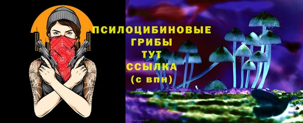 мдпв Михайловка