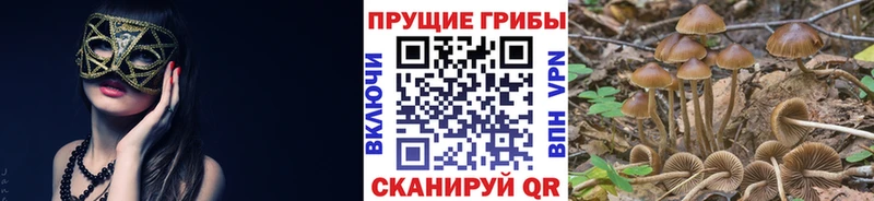 Галлюциногенные грибы MAGIC MUSHROOMS  omg   Заозёрск 